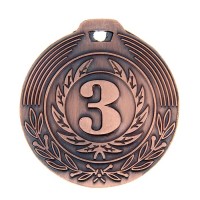 Медаль призовая, 3 место, бронза, d=4 см 1108663s фото