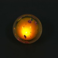 Мяч каучук «Фрукты» световой, цвета МИКС 7361157s фото