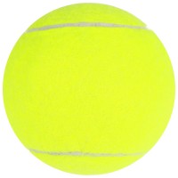 Мяч для большого тенниса № 929, тренировочный 3550220s фото